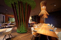 Signature, Pavel Kříž, Brno, Foto