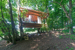 Tree House, Jan Tyrpekl