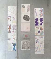 Františka Iblová - Mikrosvěty