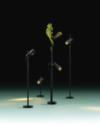 Souhra světel vytvářející dekorativní svatozář - PALOSANTO