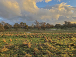 Ve čtvrtek 7. listopadu proběhne přednáška spolku Kruh s názvem Návrat divočiny do krajiny.
