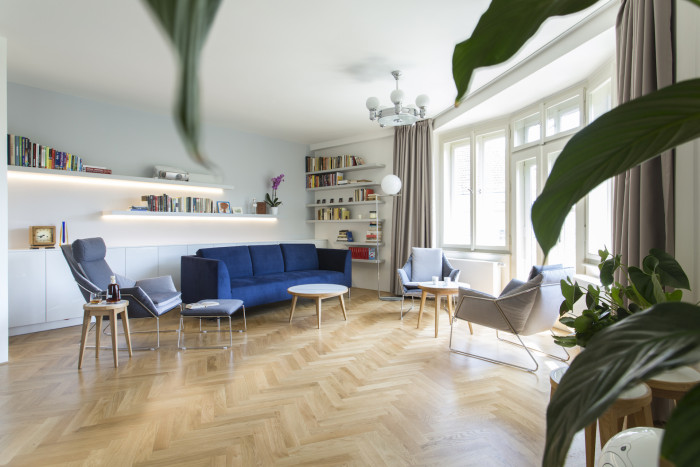 Rekonstrukce bytu v Dejvicích, KONCEPTUAL