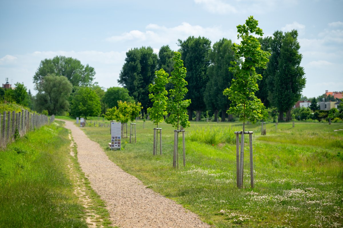 Povodňový park v Židlochovicích