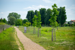 Povodňový park v Židlochovicích