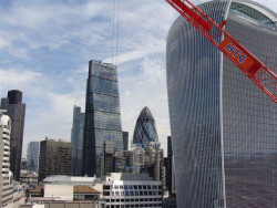 Okurka a spol. - foto