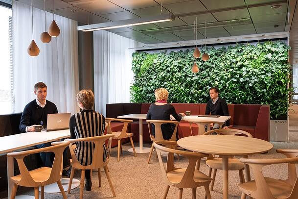 Zelené stěny od Jungle Interiors