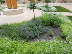 Rekonstrukce rajského dvora kláštera Emauzy od studia Terra Florida