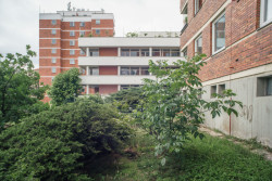 Nová stavba neubírá okolním bytů oslunění ani soukromí... (Nástavba se zahradou v Praze-Dejvicích, Nácházel architekti)