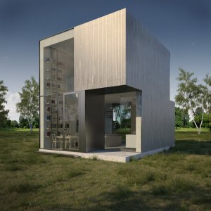 Původní studie domu pro chatovou osadu stará více než 10 let (Krychlový dům ve Vrané nad Vltavou; IO Studio)