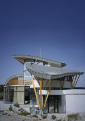 The Bird, autor Ing. arch. Roman Kuba