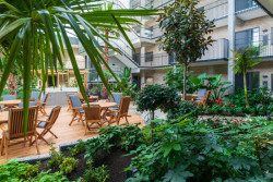 Jungle Interiors do svých návrhů začleňuje rozsáhlé množství rostlin, které plní nejen ekologickou roli, ale zlepšují kvalitu ovzduší a akustiku interiéru.