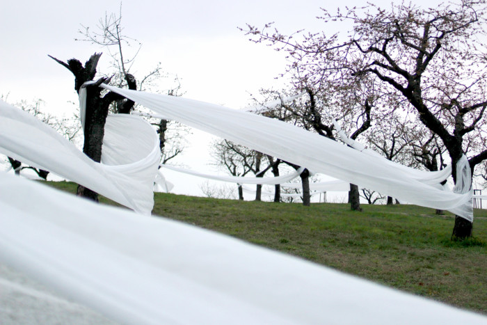 Landartová instalace Třešňovka, Tomáš Kodet.