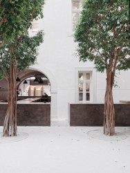 Fach, Ilja Skoček, Martin Skoček, Foto