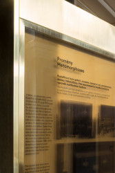 Interiéry předsálí České filharmonie v Rudolfinu, Lenka Míková architekti / Lenka Míková