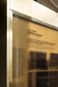Interiéry předsálí České filharmonie v Rudolfinu, Lenka Míková architekti / Lenka Míková