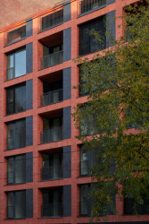 Iconik v Praze-Karlíně, edit! architects, 2023