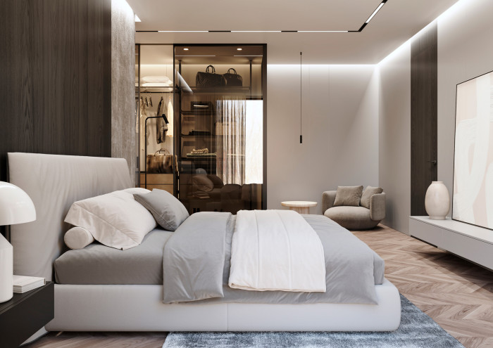 Dveře IDEA v posuvu do stropu PREMIUM, RAL 9004, sklo planibel šedý