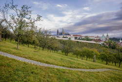 Nová koncepce vrchu Petřína.