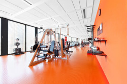 VRTIŠKA • ŽÁK, Interiéry společnosti Avast – foto