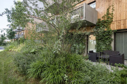 Seestadt Aspern, bytový komplex D12, Querkraft