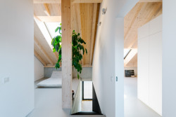 Rodinný dům v Bratislavě od Lang Benedek Associated Architects