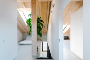 Rodinný dům v Bratislavě od Lang Benedek Associated Architects