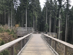 Návštěvnické centrum Srní od ateliéru AND