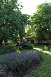 Rekonstrukce hospodářských stavení ve Skaličce od Daniely Hanouskové Boučkové ze studia 2x13