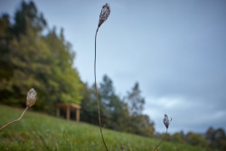 Yogapointy od studia KLAR zvou k relaxaci i zacvičení