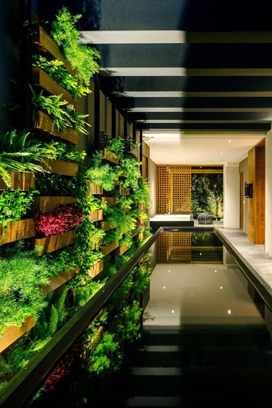 Villa Jardín, ASP Arquitectura Sergio Portillo,