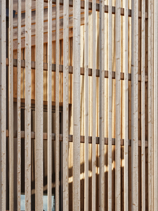 Dom Hora, Archholiks.