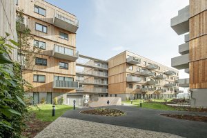 Seestadt Aspern, bytový komplex D12, Querkraft