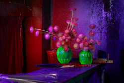 A co je tedy jarní kytice? "Aromatické květy jako narcis, tulipán a hyacint. Ale moc se mi líbí jarní rozkvetlé stromy," říká florista. Aby dlouho vydržely, doporučuje florista přidat "žďibeček sava." (na obrázku aranžmá ve váze Sebastiana Kitzbergera)