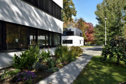 Restless, Atelier38,