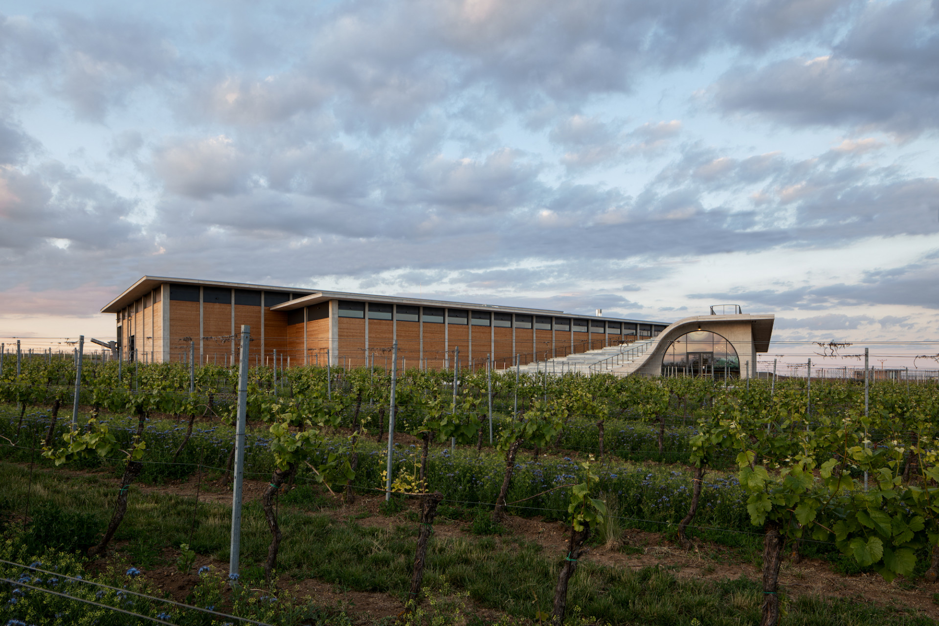 Sídlo Vinařství LAHOFER v Dobšicích u Znojma, Chybík+Krištof