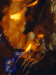 Sofia Artemeva představí svoji bakalářskou práci na bienále designu v Benátkách.