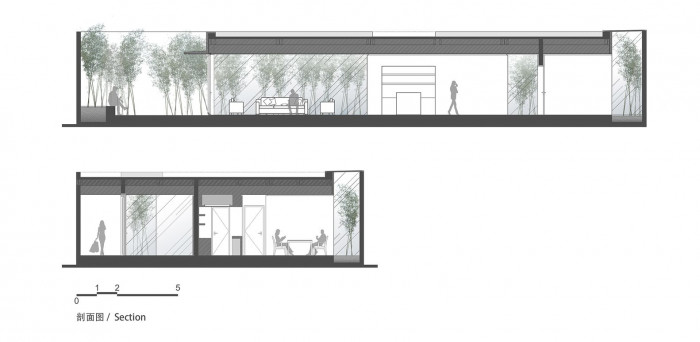 Bamboo Forest, V Studio