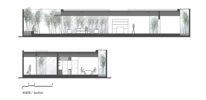 Bamboo Forest, V Studio