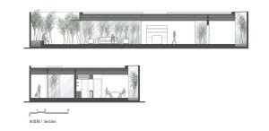 Bamboo Forest, V Studio