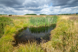 Nadace Partnerství zahájila přihlašování do pátého ročníku soutěže Adapterra Awards