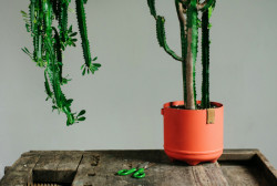 Nahaku, kolekce Nipples