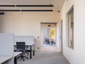 V kanceláři (Kanceláře postavené z CLT panelů; Studio Perspektiv)
