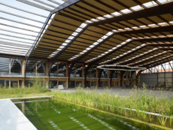 Kanceláře Robbrecht en Daem architecture, Robbrecht en Daem architecture