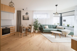 Pohled do vzorového bytu (Rezidence Starý pivovar v Brně-Králově Poli, Atelier RAW)