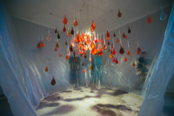 Pokoje, fotografie z předešlých ročníků.