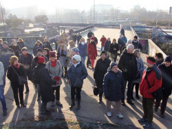 Psí vycházníci – foto