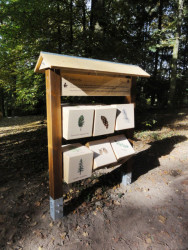 Naučná stezka v parku Štěpánka, stromy v lese