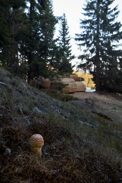 Herní krajina Pecka, Matěj Hájek a Tereza Kučerová (Moloarchitekti s.r.o)