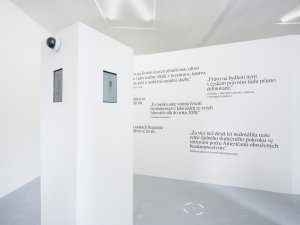 Od 15. března do 4. května 2024 probíhá v galerii VI PER výstava s názvem Čí je to problém? Bezdomovectví mezi Prahou a New Yorkem.