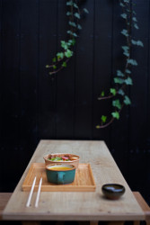 Rekonstrukce restaurační zahrady Hoja, Petr Danda